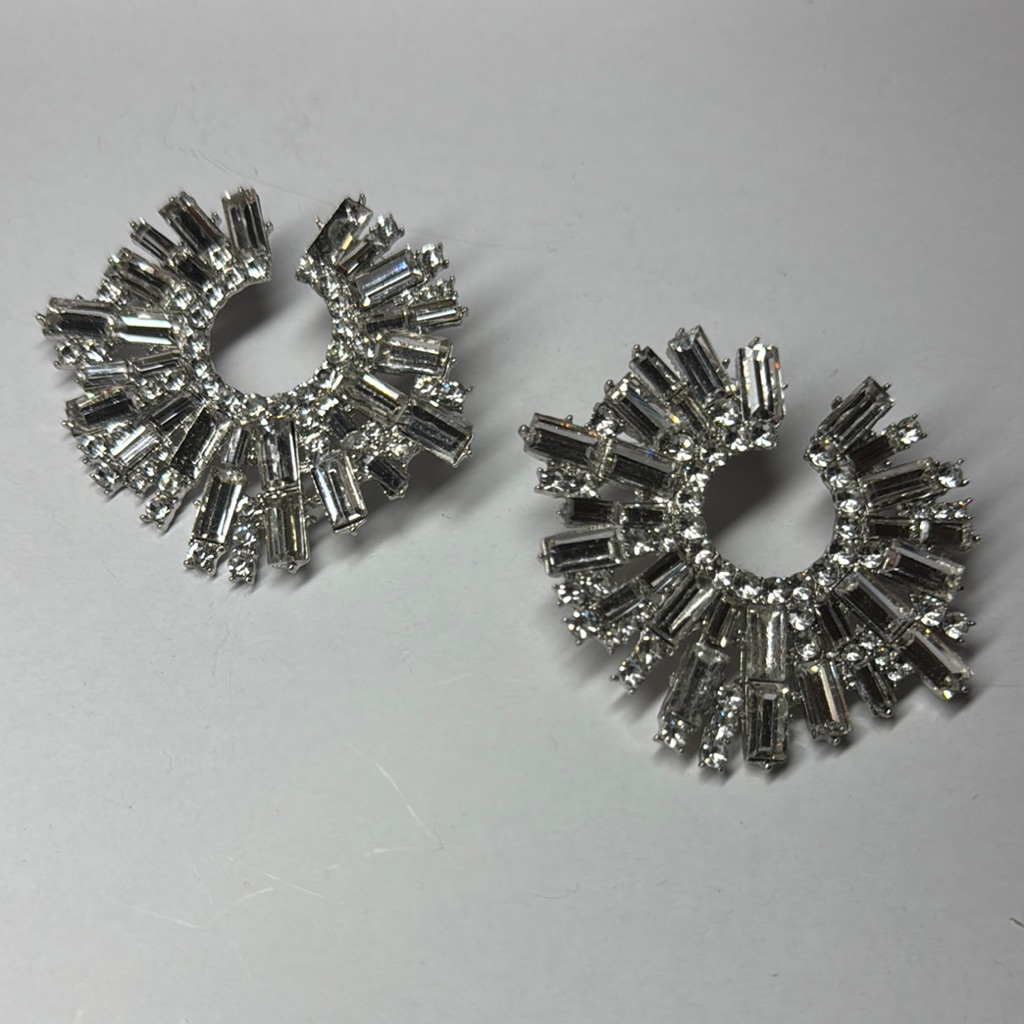 Stunning Silver Crystal Earrings
